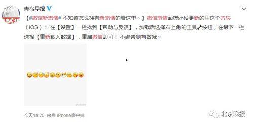 娱乐吃瓜菌成绩不是唯一